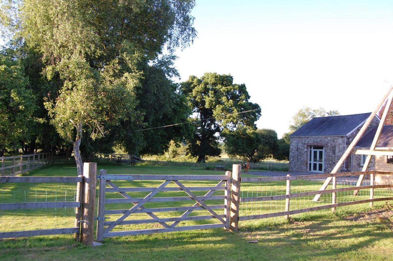 Dryslwyn Holiday home *