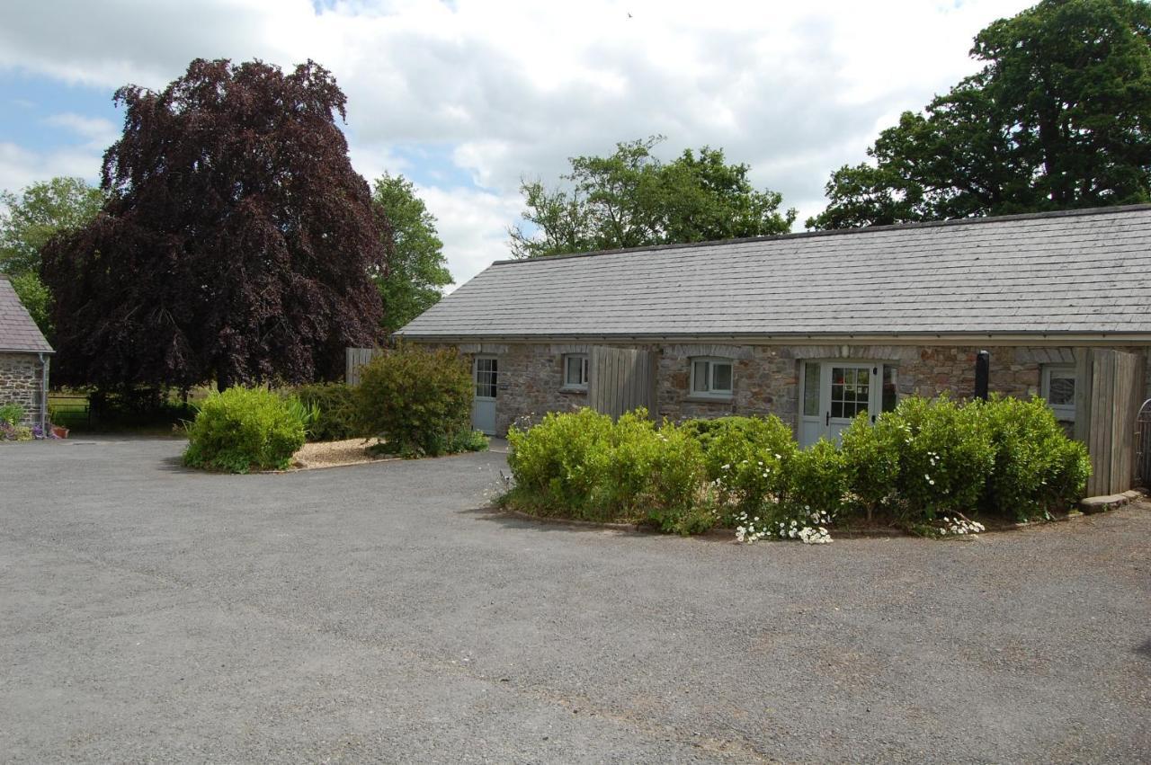 Dryslwyn Holiday home
